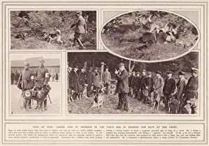 Western Front War Drucke: German War Dogs