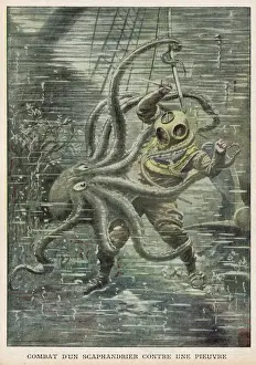 Riesen-Octopuss und amerikanischer Taucher