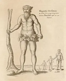 Riese von Trapani