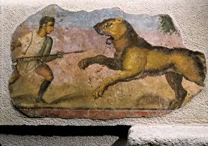 Historical Roman Artwork Drucke: Gladiator fighting against a beast