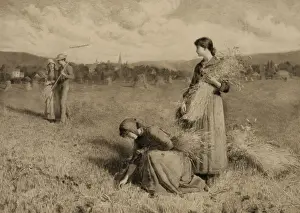 Rural Life Drucke: The gleaners