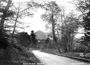 Early 20th Century Irish Art Drucke: Glen of the Downs