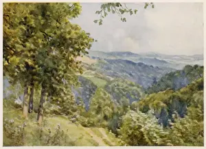 Gloucestershire Drucke: Wald von der Foret Glos, 1927
