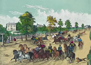 Horse Riding Pictures Drucke: Going to the trot