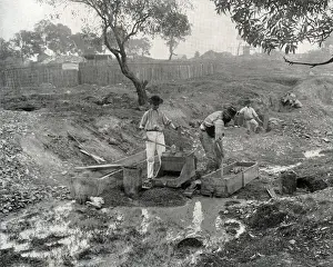 Australian Gold Rush Drucke: Gold Digging in Australia