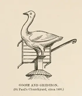 Drucke von Die Aufschrift für das Gasthaus zum Gänseblümchen und dem Rasterstein Verwandte Bilder Drucke: Gänse und Grillensteine