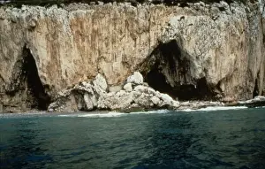 Homo Neanderthalensis Fossils Drucke: Gorhams Cave, Gibraltar