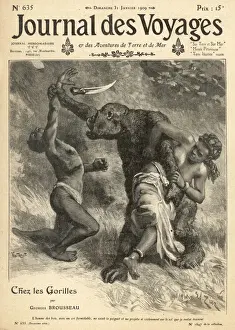 Congo Wildlife Drucke: Gorilla on the Attack