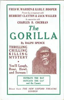 Die Gorilla von Ralph Spence
