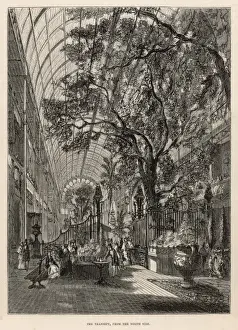 Victorian Era Exhibitions Drucke: Great Exhibition