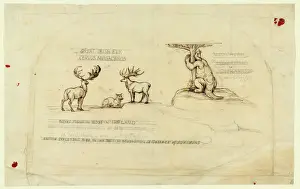 Faultier Drucke: Großer irischer Eber, Megatherium