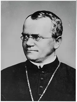 Drucke von Gregor Johann Mendel österreichischer Botaniker Österreich Drucke: Gregor Mendel