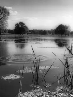 Tranquil Lake Scenery Drucke: Grendon Lake