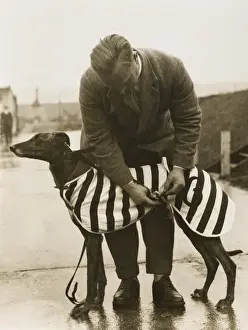 Greyhound Racing History Drucke: Greyhound Overcoat