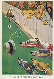 Drucke von Humorvolle Illustration von George Studdy, die einen etwas beschämten Mann im Publikum bei einem Greyhound-Rennen zeigt, der verwirrt ist Hase Drucke: Rennsport mit Greyhounds