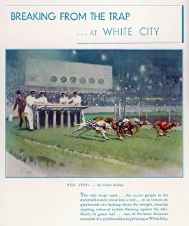 Greyhoundrennen in White City