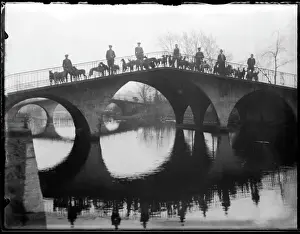 Hundehunde auf einer Brücke