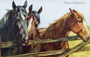 Eileen Hood Artwork Drucke: Group of horses at a gate