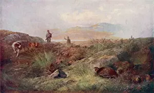 Drucke von Grausenjagd – Männer und ihre Hunde auf einem schottischen Moor Verwandte Bilder Drucke: Gansjagd 1912