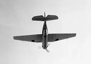 Royal Navy Aircraft Drucke: Grumman Tarpon
