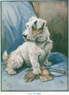 Terrier Breeds Drucke: On Guard