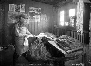 Early 20th Century Ireland Drucke: Hackling Flax