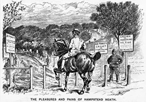 Hampstede Heath