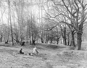 Drucke von Ein junger Mann und eine junge Frau sitzen sich im Wald von Hampstead Heath nördliches London, England. Datum: 1930er Jahre Hampstead Heath Drucke: Hampstead Heath aus den 1930er Jahren