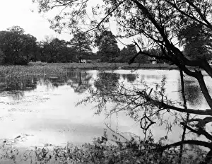 Drucke von Herbstansicht am Heath-Pond-See in Hampstead Heath Nordlondon; Datum: 1950er Jahre Hampstead Heath Drucke: Hampstead Heath