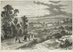 Hamstedt-Wells Spaziergang