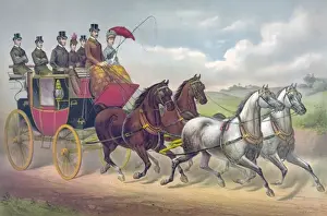 Horse Drawn Carriages History Drucke: Four in hand