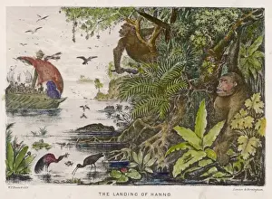 West African Coast Drucke: Hanno / Exploration