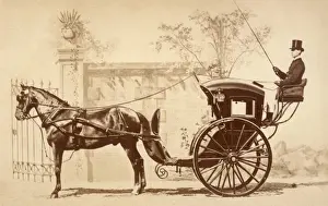 Horse Drawn Carriage UK Drucke: HANSOM CAB