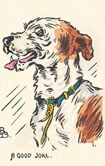 Ein froher Hund