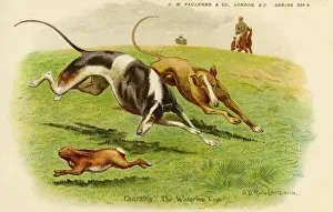 Reiten des Rehlaufs, Waterloo-Cup