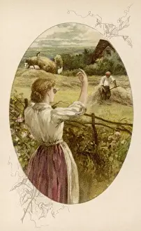 Agricultural Scenes Drucke: Harvesting Crops