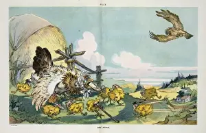 Early 20th Century Cartoons Online Drucke: The hawk
