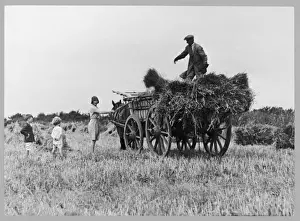 Farming Scene Drucke: The Hay Wagon (Pugh)
