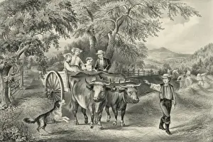 Vintage Farm Life Drucke: Haying-time the last load