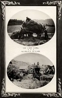 English Countryside History Drucke: Haymaking