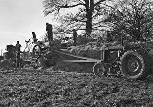 Rural Summer Scene Drucke: Haymaking in a field