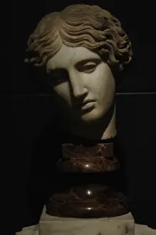 Führerin eines Amazons aus Marmor, Kopie einer Original von dem fünften