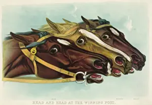 Horse Racing Winners Drucke: Head and head at the winning post