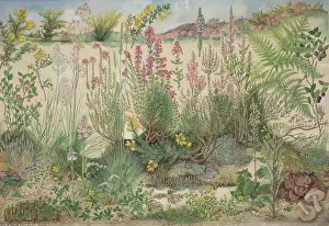 Heathland