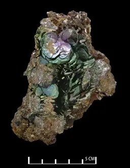 Natural History Museum Specimens Drucke: Hematite