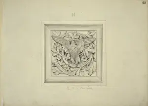 Alfred Waterhouse Design Drucke: Hen harrier design