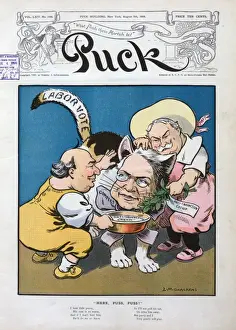 William Jennings Bryan Cartoon Drucke: Here, Puss, Puss
