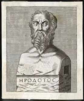 Ancient Greek Historian Drucke: Herodotus / Anon Bust