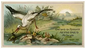 Historical Bird Art Drucke: Heron and Frog