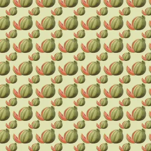 Die Geschichte Wiederholt Sich Drucke: Wiederholtes Muster - Wassermelonen